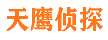 新民侦探